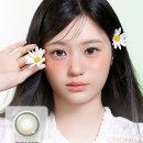 다비치안경 진천읍사무소앞점 이미지