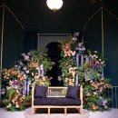 숲속의 컨벤션 이미지