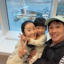 비치호텔 | 괌 두짓비치 호텔 후기 수영장, 오션뷰, 괌 아기랑 준비물 총정리