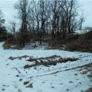 파주법원경기-파주-법원4 이미지