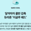 카페;하로
