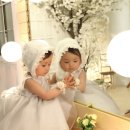 서연