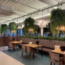 나나애견 이미지