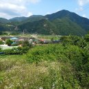 부남면041 Daum카페