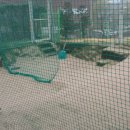 동도센트리움스크린골프 이미지