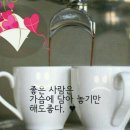 니꼬내꼬 Daum카페