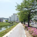 유현자전거 네이버블로그