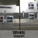 초심미트 이미지