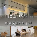 이데아 시티 | 용인 기흥구 강아지와 함께 가기 좋은 애견동반 카페 TOP 5 추천