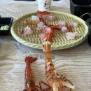 천금식당 | 도동, 저동 식당 솔직후기 추천(내돈내산 천금수산, 바다횟집, 다애식당, 대나무식당, 대박식당, 패키지)