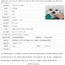 러브펫종합동물병원 이미지