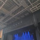 담곡 | 그저 🐐 - 스티브 레이시 내한콘 후기