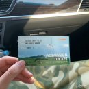 원아목장 | 대관령 삼양목장 크리스마스 산타양 귀여워!🎄