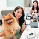 펫토이동물병원 이미지