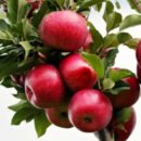 영진배선사 | 장유 한식 맛집 10선 추천