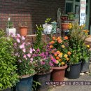 성환이화시장 이미지