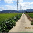 신동1통 마을회관 이미지