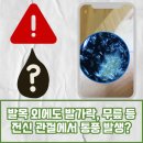 성모류마내과의원 | 통풍 진료 류마티스내과에서 약물 치료와 요산 관리의 중요성