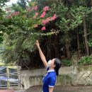 합천여자고등학교 이미지