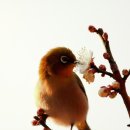 매화휴게실