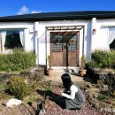 봄빛 민박 이미지