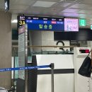 돈백꽃도두점