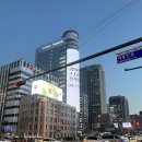 싱그러운상점