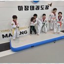 이천시마장면태권도 아이의 인성과 체력을 동시에 키워주는 마장태권도장 후기