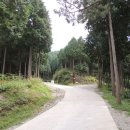 삼산면-4 이미지