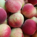 금월농장 이미지