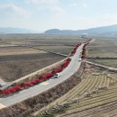 군도3호 이미지