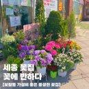꽃에 반하다 | [세종 꽃집] 꽃에반하다 | 보람동 갓성비 넘치는 풍성한 온누리 꽃집 | 꽃다발, 화분 내돈내산 후기