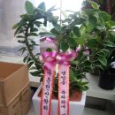 이도목장 이미지