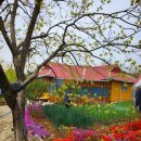 오두보건진료소 이미지