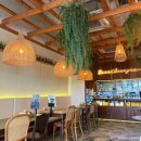 와이엠푸드 | 음식 맛집 '반치앙마이' &amp; 카페 'YMMD' (와이엠엠디) 내돈내산 방문 후기 +) 컬리온리 제품 추천 &amp; 맛 평가