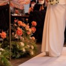 마리앤코 이미지