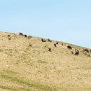 연정목장 이미지