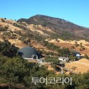 대가야박물관 이미지