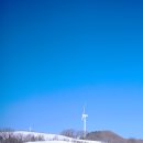 파란하늘목장 이미지