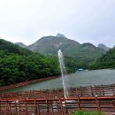 영젠 Daum카페