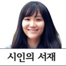 미츠가