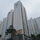 강남-206 이미지