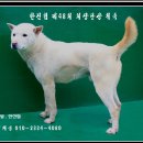 일월축산