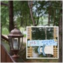 박양식목장 | [가족캠핑]봉평 아트인아일랜드