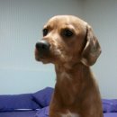 우성아파트 앞