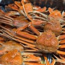 상상력미술 이미지