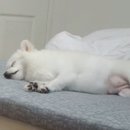 개스타하우스 이미지