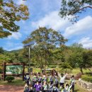 피노키오유아스쿨어린이집 이미지