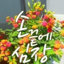 손 끝