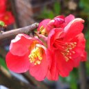 가천박물관 이미지